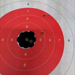 Primjer dobro upucanog digitalnog noćnog ciljnika